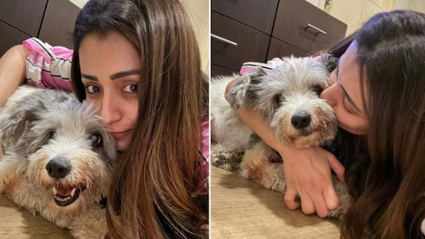 Trisha emotional post goes viral