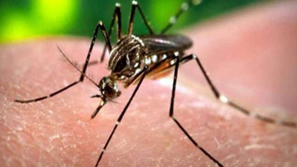 A six-year-old boy from Nellore district is suspected of contracting the Zika virus Govt seek Report