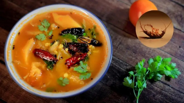 cockroach in sambar customer complaint against Hyderabad Minerava hotel cockroach in sambar customer complaint against Hyderabad Minerava hotel