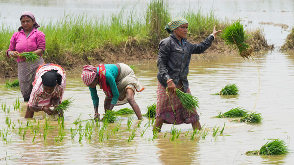 Union Budget 2025 agriculture budget may raise by over 15 percent this time largest in 6 years
