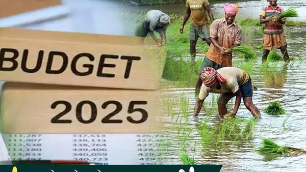 Ahead of Budget Day Farmers Demand Boost in PM-KISAN Funds and MSP