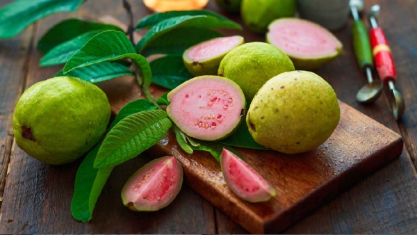 guava health benefit and uses in telugu