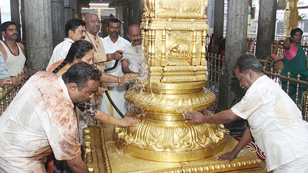 Ratha Saptami 2025 Koil Alwar Tirumanjanam was observed in Tiruchanoor temple Ratha Saptami 2025 Koil Alwar Tirumanjanam was observed in Tiruchanoor temple