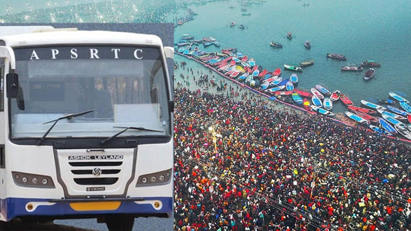 APSRTC announced special buses and package for Mahaumbh form various parts of the state