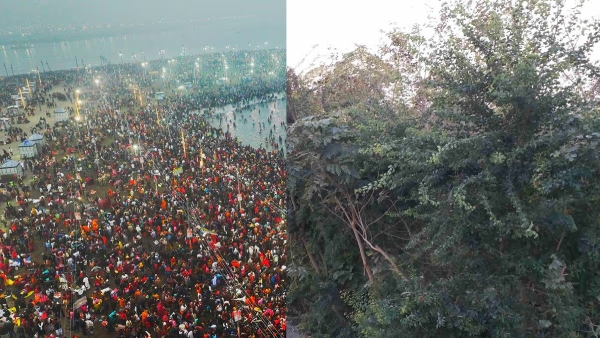 Reviving Prayagraj Miyawaki Trees Provide Fresh Air at Mahakumbh Mela