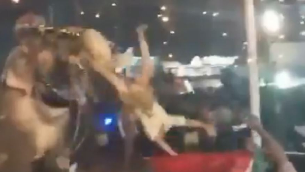 17 people were injured as an elephant went on a violent during Tirur Puthiyangadi festival in Kerala 17 people were injured as an elephant went on a violent during Tirur Puthiyangadi festival in Kerala