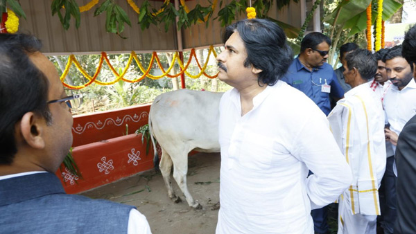 pawan kalyan explains how tirupati stampede effects his Sankranti celebration in pithapuram