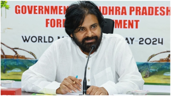 Pawan Kalyan decided to announce his political road map in party plenary in pithapuram Pawan Kalyan decided to announce his political road map in party plenary in pithapuram