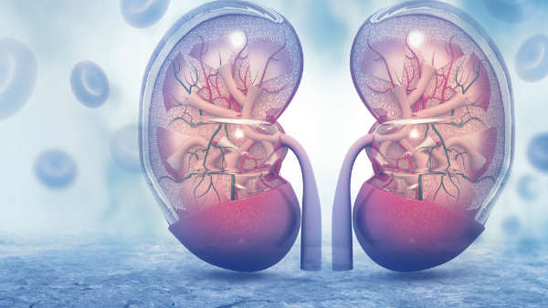 Are your kidneys healthy Be careful if you have these symptoms