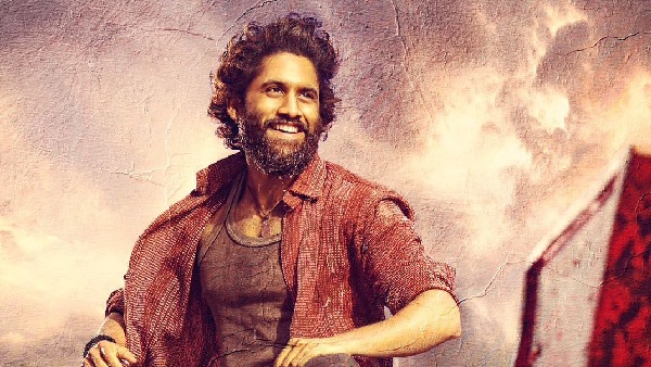 Tandel A Blockbuster Awaiting 100 Crore Glory with Naga Chaitanya and Sai Pallavi