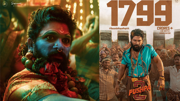 Pushpa 2 was a flop despite earning Rs 1800 crore