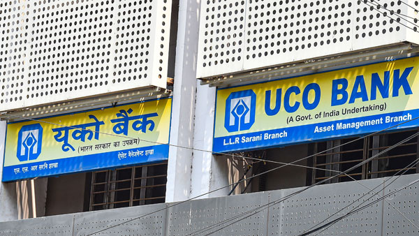 uco bank recruitment apply for 250 posts