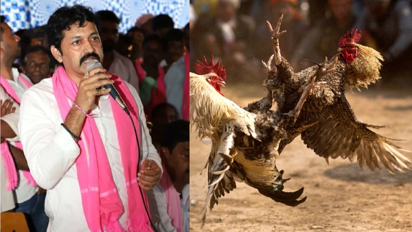 BRS MLC Pochampally Srinivas Reddy Served Notice in Cockfighting Racket Case
