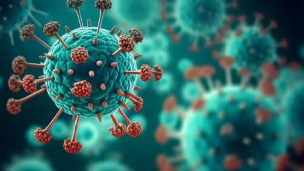 Researchers in China Discover HKU5-CoV-2 Virus in Mosquitoes A Potential Pandemic Threat Researchers in China Discover HKU5-CoV-2 Virus in Mosquitoes A Potential Pandemic Threat
