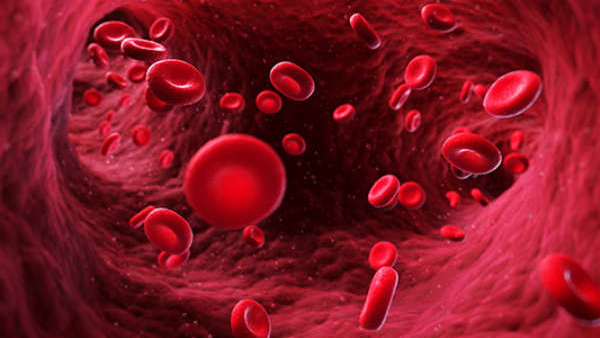 Has hemoglobin decreased in the body Include these foods in your diet often