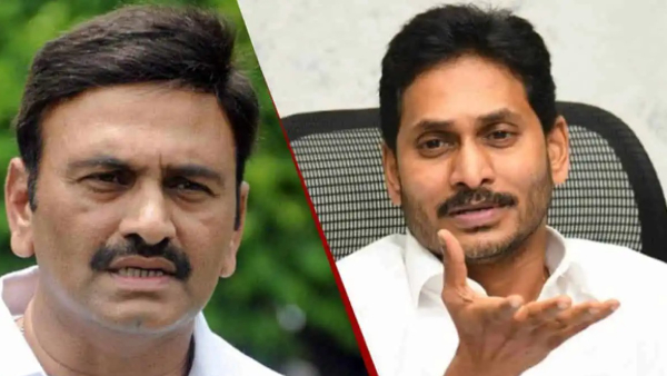 By-election to be held for Pulivendula constituency - TDP MLA Raghurama Krishnam Raju