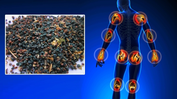 A panacea for joint pain If you eat a spoonful of Jute seeds every day you will never have arthritis again