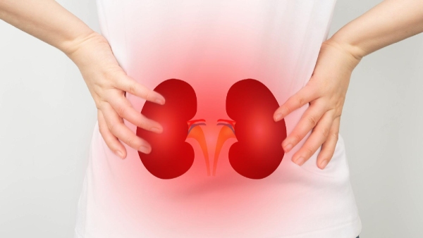 These habits are essential for healthy kidneys If you miss them you will face problems