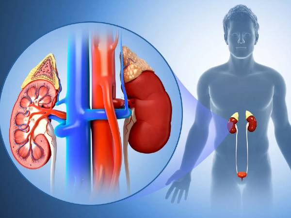 If pain occurs in these parts of the body it means that the kidneys are damaged If pain occurs in these parts of the body it means that the kidneys are damaged