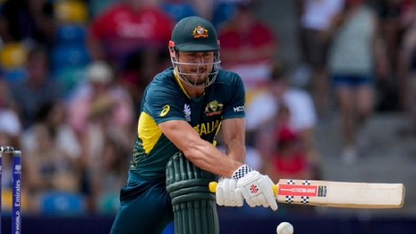 Champions Trophy 2025 Marcus Stoinis announces immediate retirement from ODIs