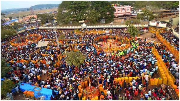 Medaram Sammakka Saralamma Mini Jatara Starts From February 12 Full Details Here Medaram Sammakka Saralamma Mini Jatara Starts From February 12 Full Details Here