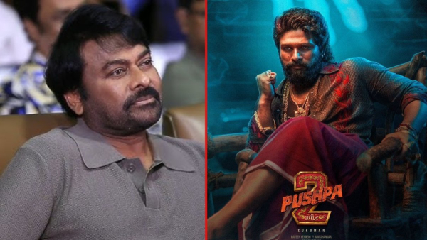 chiranjeevi interesting comments on pushpa-2