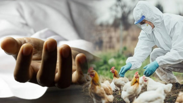 Will humans also die if they get bird flu