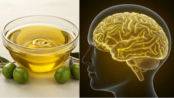 olive-oil-is-the-only-superfood-that-can-make-the-brain-powerful olive-oil-is-the-only-superfood-that-can-make-the-brain-powerful