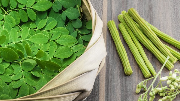 drumstick leaves increases sexual ability and reduces three hundred diseases