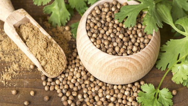Control your weight with coriander water many health miracles