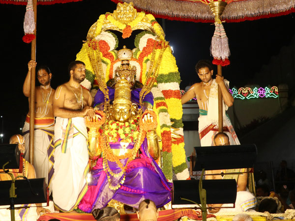2 auspicious celebrations in Hill Shrine Tirumala on February 12