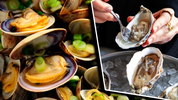 Are you eating shellfish without a reason If only you knew the truth