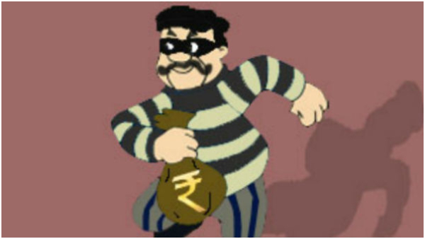 variety thief who steals only during the day What is the reason