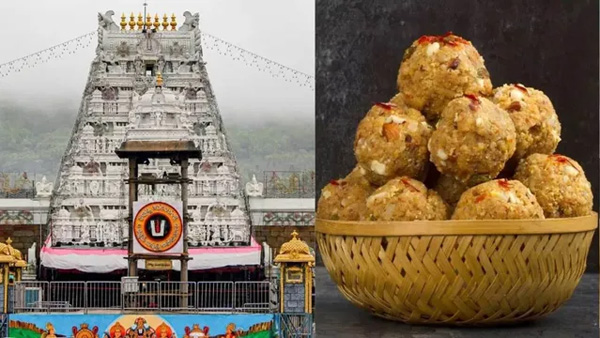 SIT revealed forged documents and tender manipulations in Tirupati ghee adulteration case