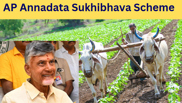 YSRCP Targets Govt over funds allocation for Annadata sukhibava in Budget