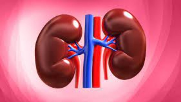 Take these precautions to keep your kidneys healthy