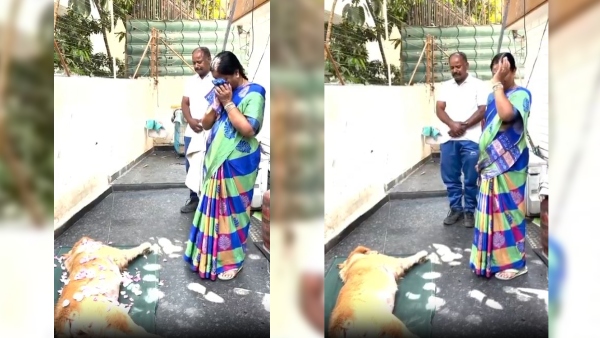 Minister Konda Surekha breaks down after sudden death of her pet dog Minister Konda Surekha breaks down after sudden death of her pet dog