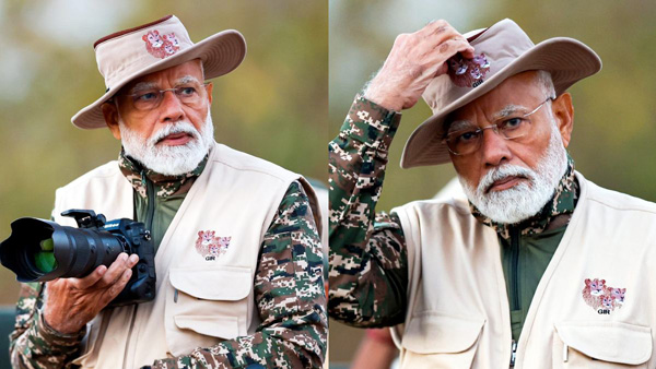 PM Narendra Modi takes lion safari in Gir National Park in Gujarat