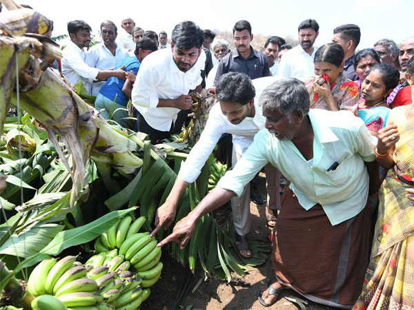 YS Jagan assured support for Crop damage farmers due to unseasonal rains in Pulivendula YS Jagan assured support for Crop damage farmers due to unseasonal rains in Pulivendula