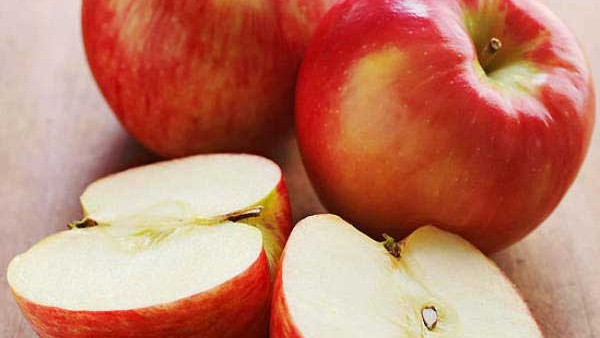 eat an apple every day you won t need a doctor Here are the reasons