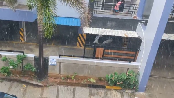 Cyclonic Circulation in Bay of Bengal Bengaluru experienced rainfall