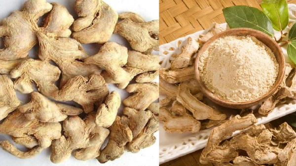If you take dry ginger in your diet daily it will definitely control your BP sugar and obesity