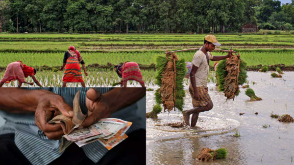 good news to telangana farmers telangana paddy procurement 500 rupees bonus for fine rice good news to telangana farmers telangana paddy procurement 500 rupees bonus for fine rice