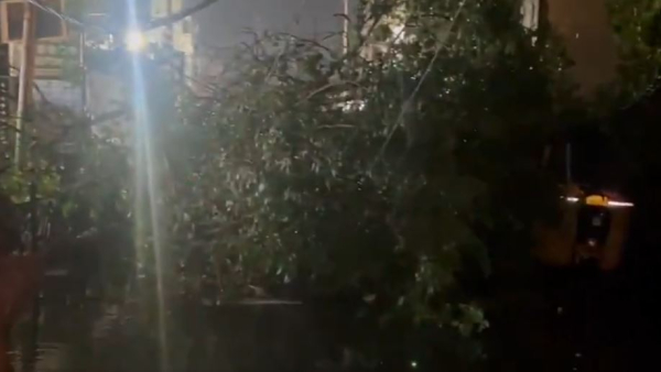 Hyderabad rains several trees uprooted and huge crane collapsed in the city