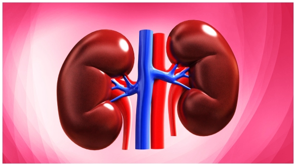 Early Detection of Kidney Problems A Guide to Symptoms