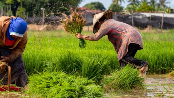 rbi-raises-collateral-free-agri-loan-limit-to-2-lakh-big-relief-for-farmers rbi-raises-collateral-free-agri-loan-limit-to-2-lakh-big-relief-for-farmers