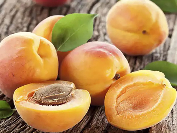 Eat this fruit during this season You won t get diabetes at all