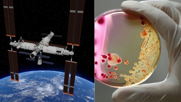 new-bacteria-discovered-on-chinas-tiangong-space-station-what-it-means-for-space-life