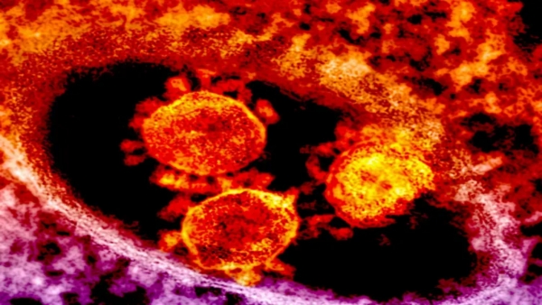 COVID-19 Claims Life of 8-Year-Old in China Virus Reaches Brain Causes Coma