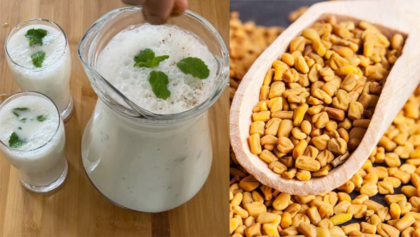 Swallowing fenugreek seeds and drinking buttermilk in the morning helps control sugar levels Swallowing fenugreek seeds and drinking buttermilk in the morning helps control sugar levels